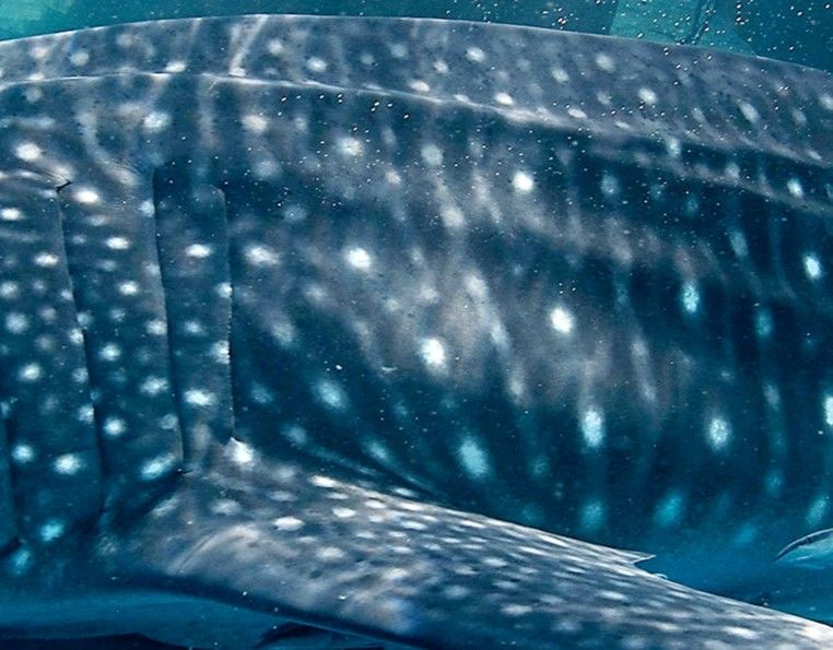 3cadba72-1f62-4ab2-bcf7-f9850053b903