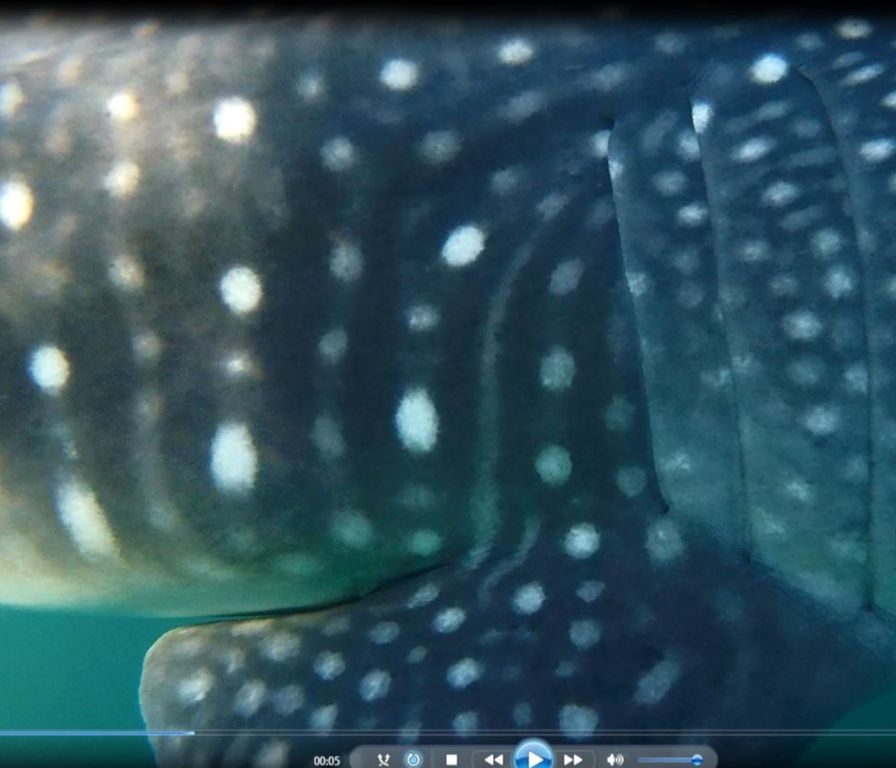 7d3769f0-a5a5-4faa-aa6d-d58df462f267