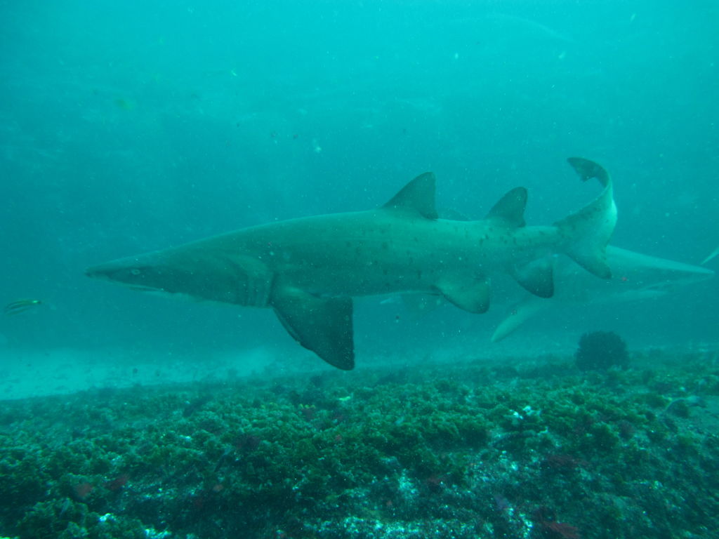 897fa102-3f02-4acb-894e-da4b3a3b02f1