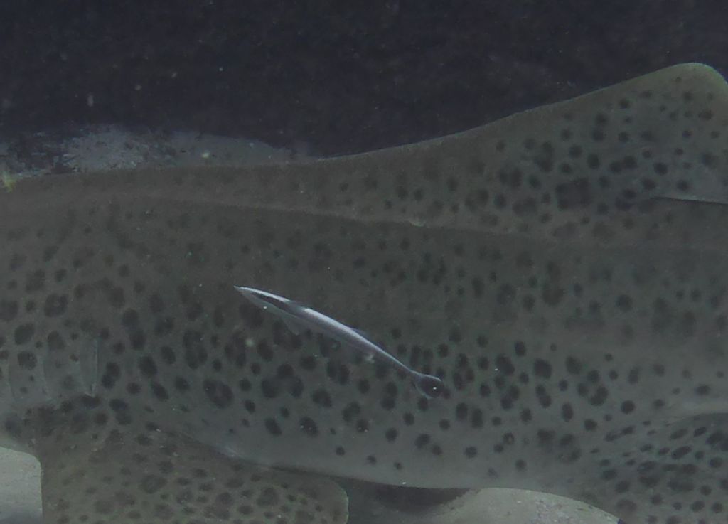 7207d33f-66de-4144-be05-85dfd8edede2