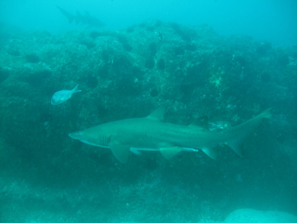 963a4d27-4282-459e-afc1-6084455633cd