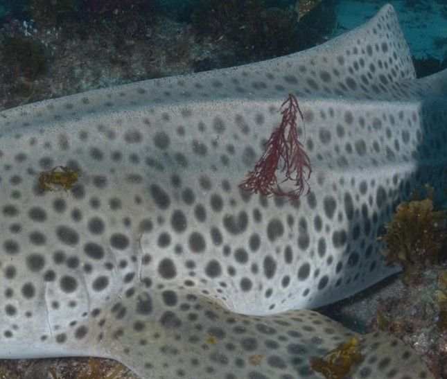 acd03c52-988d-4da4-a4f7-96db95a27af6