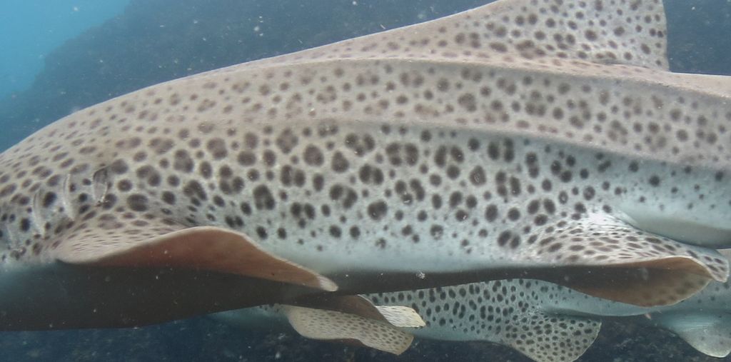 b7e14ee4-4f22-4d77-8138-28273b8a75d5