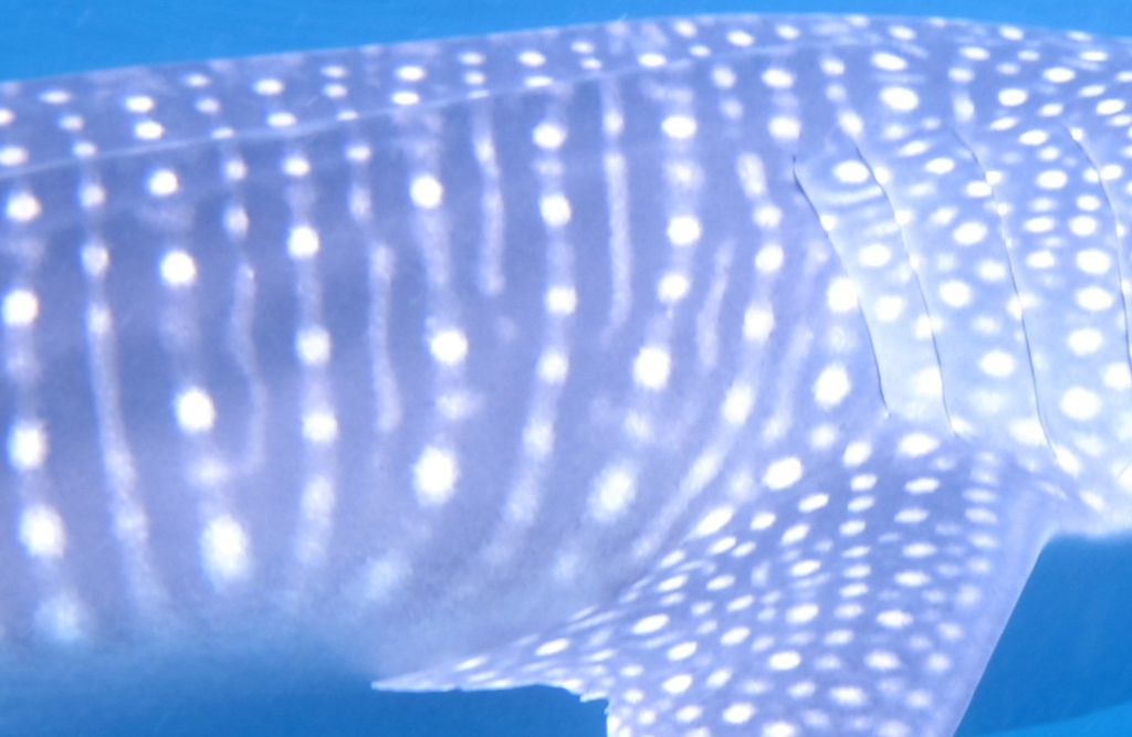 cdbfcbb4-d773-4afd-857a-121c8b0cfb87