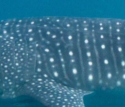 ee2b09ce-641a-4639-b39c-62b0fcdcb28f