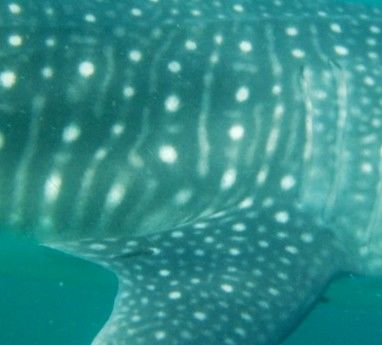 2407d1c7-88b6-40b4-a0a5-66b2c547a409