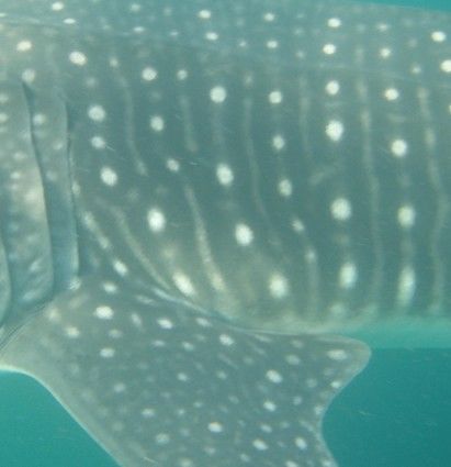 2407d1c7-88b6-40b4-a0a5-66b2c547a409