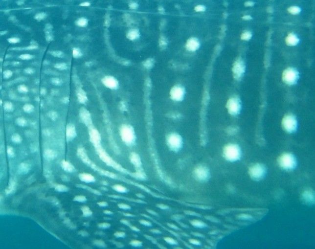 a4cecd0d-8340-4e6c-9a57-38555991cb70