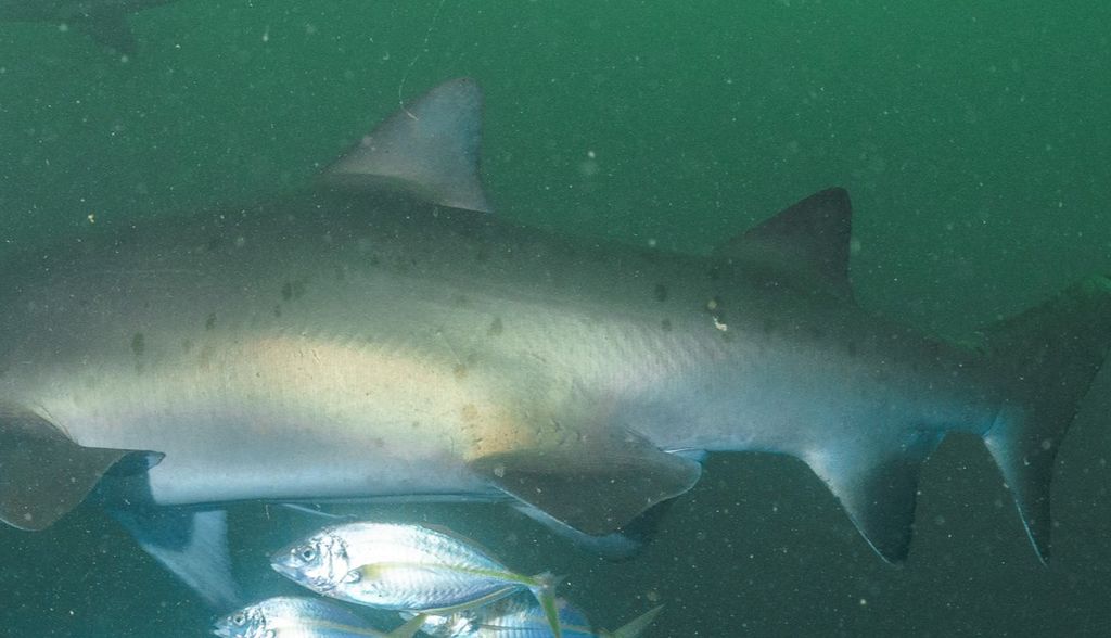 ab36506e-695b-418c-b1cc-33ea9821d41d