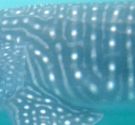 c912aa2a-7a6b-4a5a-8100-c7de53c5ead2