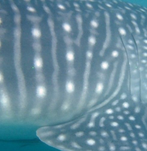 c912aa2a-7a6b-4a5a-8100-c7de53c5ead2