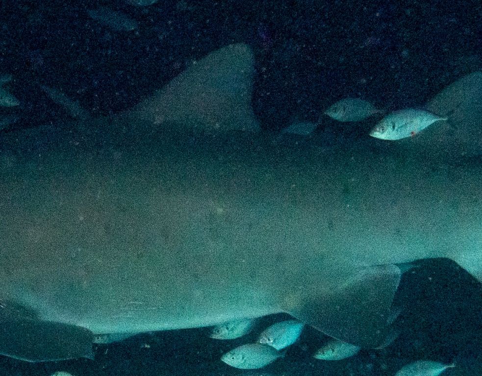 1ef8750a-d0dc-4cb1-9f42-e2041fe2d83e