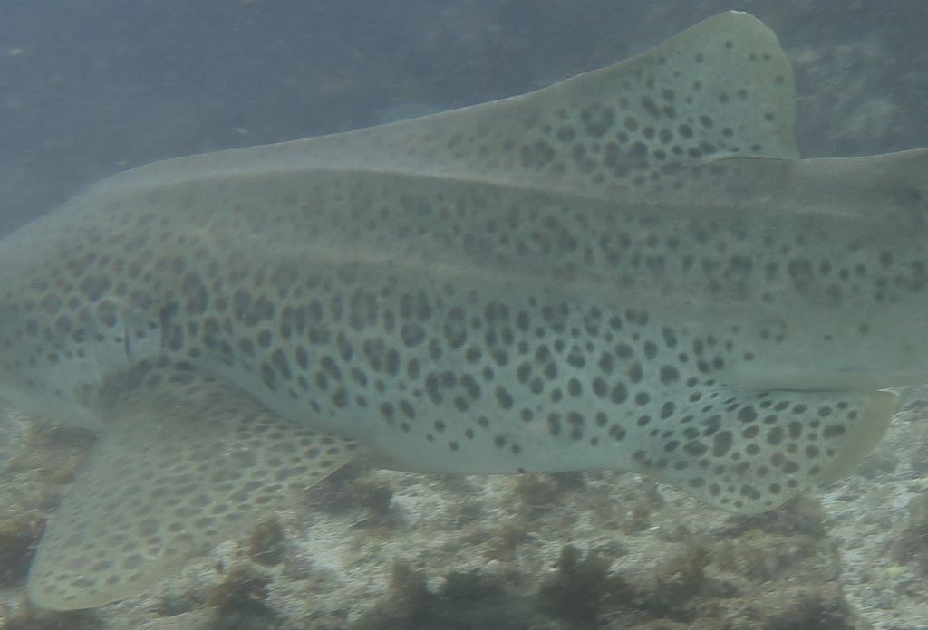 6b7d1fb2-e18a-43ec-9823-3c0ac936ed9c