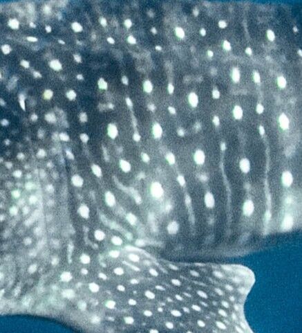 8ae88f10-a272-4b76-9979-0a0dfb3f8318