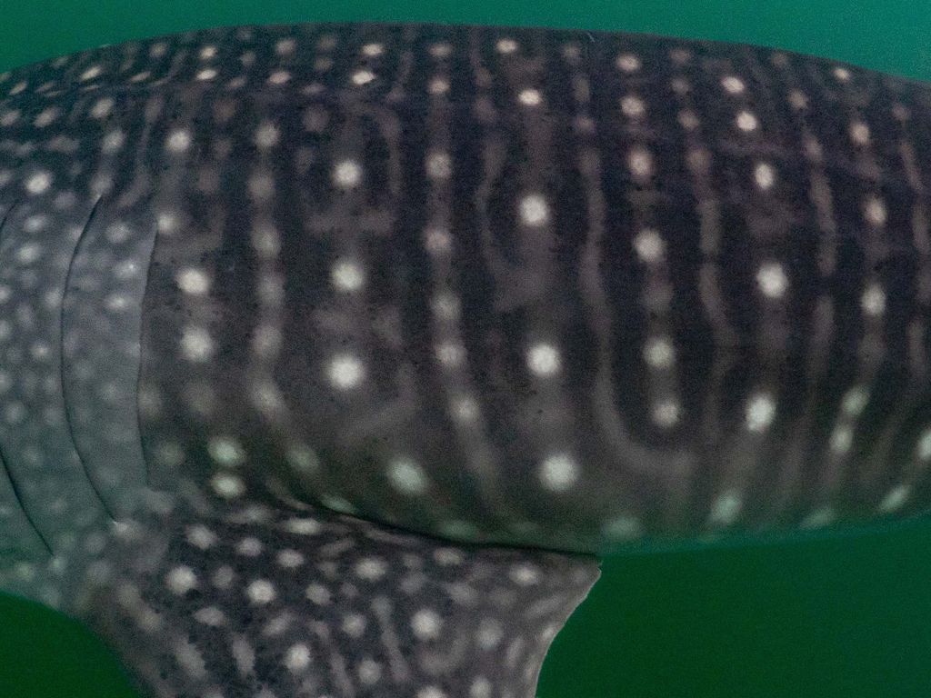 f06e84eb-0d69-4cb4-9f11-96506ac97426