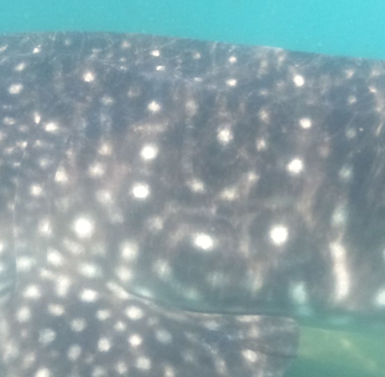 7f9908c5-48e8-4b11-861d-9a1d31f5729e