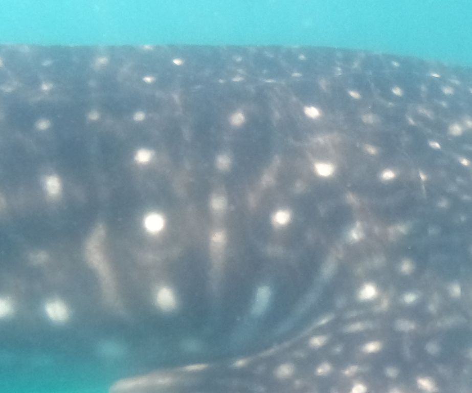 7f9908c5-48e8-4b11-861d-9a1d31f5729e