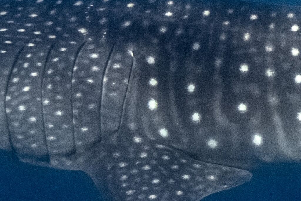 5dd76648-7d75-45fb-9bd4-db2bbf385175