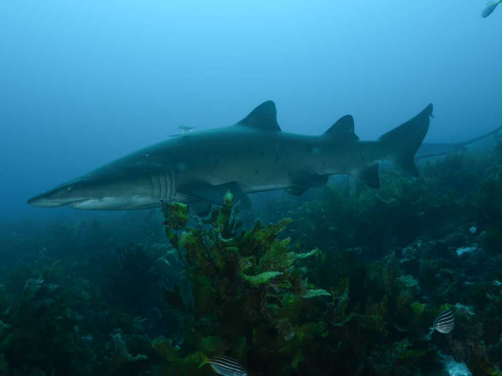 7cbef2a9-1c44-4afb-9da0-9b073060ce2a