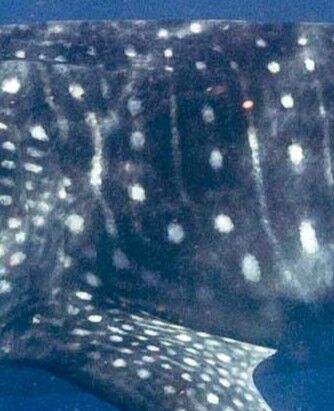 be68cd55-7d7d-41ac-9656-72de5185426b