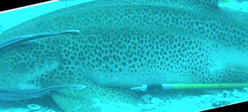 16d240cc-d8d9-48a4-b167-695fe65ce7e8