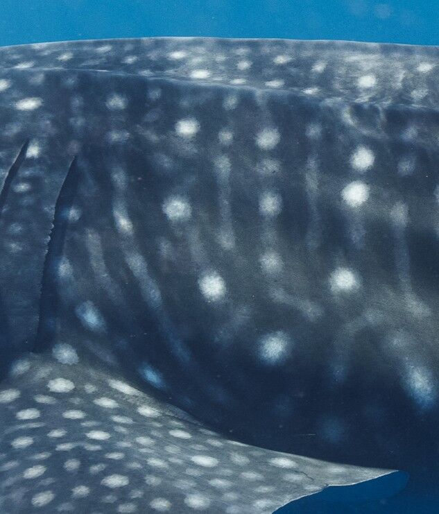 7772209d-ce5f-4016-8aa6-f816f8c00298