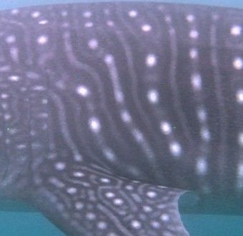 54611aad-a043-4889-9427-577ba9f5f3b3