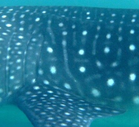 04bd79e7-c45b-4abf-a036-8a90c0d50c5d