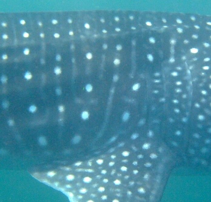 04bd79e7-c45b-4abf-a036-8a90c0d50c5d