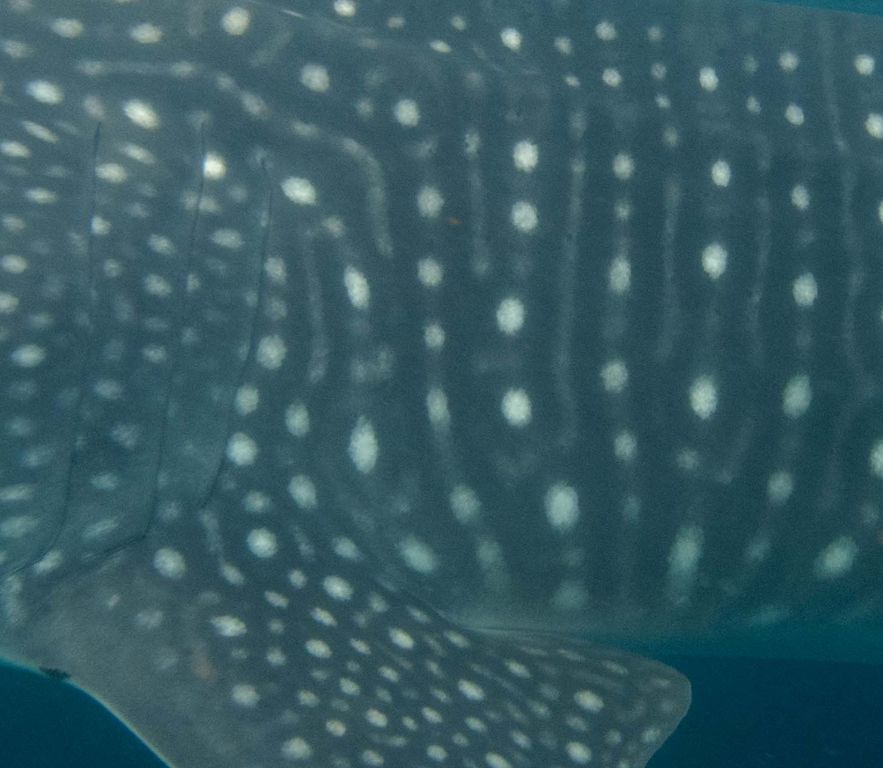 841729a7-1460-4637-bd13-4970d9c571d0