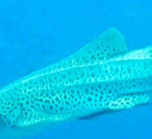 be358d0d-47f4-42f7-b584-108e0116618e