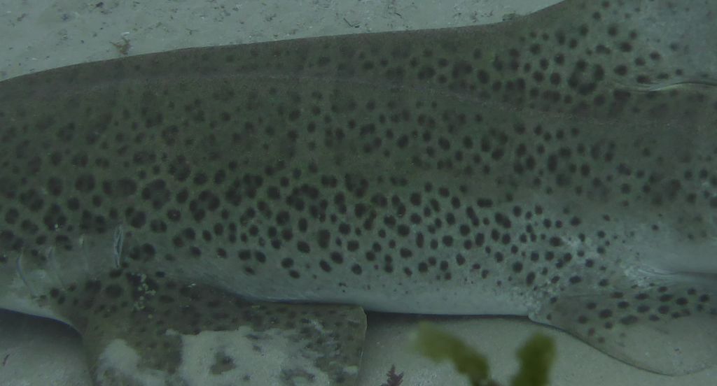 b9dab64d-1800-4405-b306-09ceaa47d84b