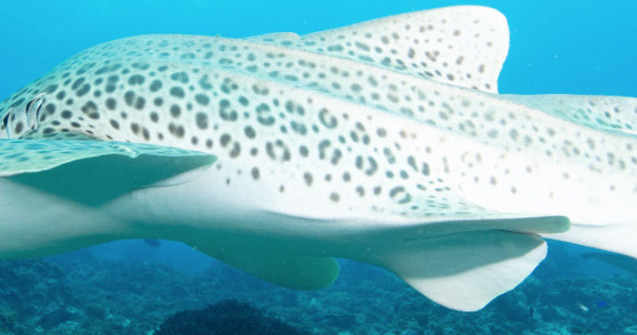 f019d730-e8b3-4040-965c-317fbd5d0860