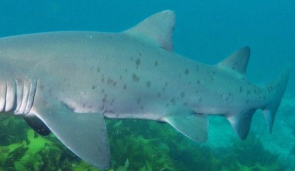 8f6b52b3-4d48-4798-a9f2-0b2d848f6220