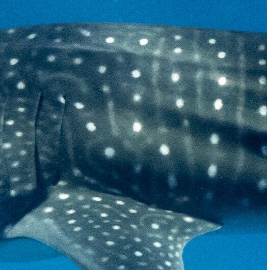 5a26cb63-37e4-4915-b944-7ed6738a4295