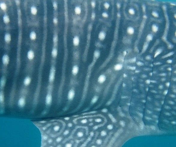 54611aad-a043-4889-9427-577ba9f5f3b3