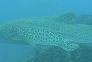 91d2a2ce-13ba-4ebe-b62b-7b579133a35e