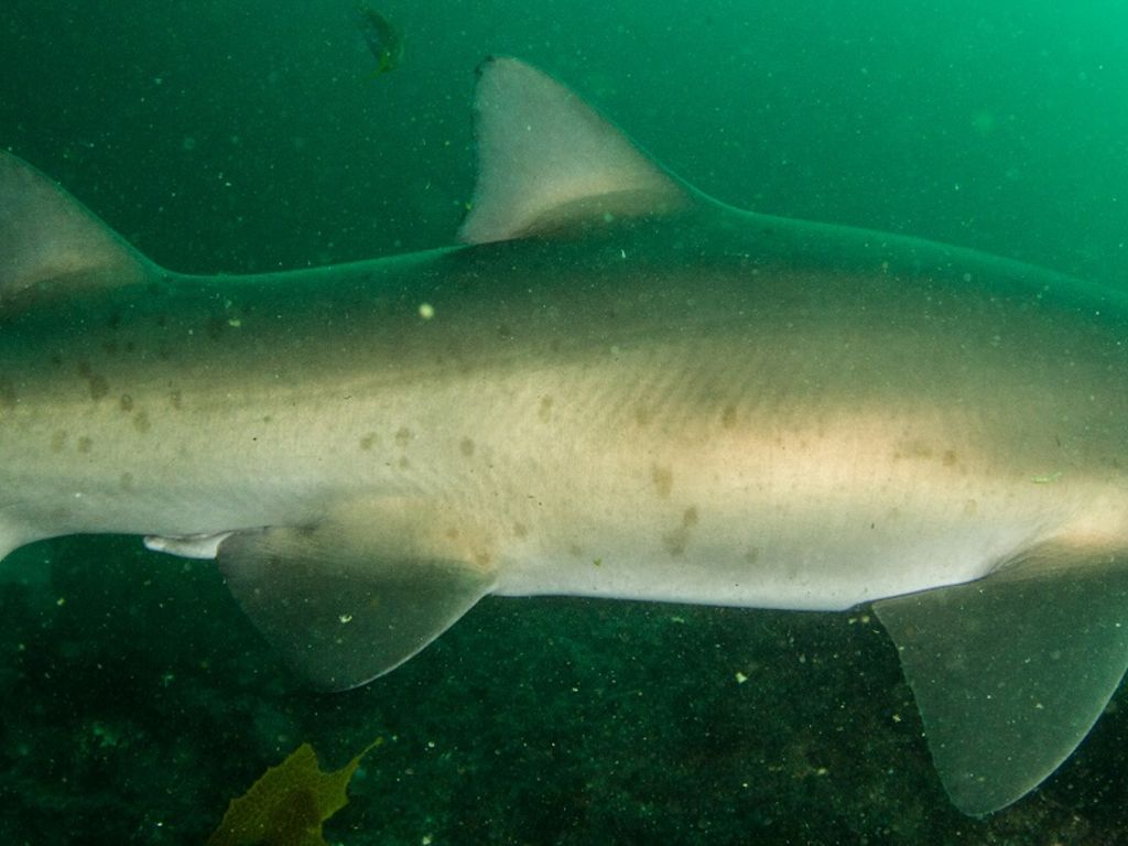 5f0d0aa0-3d68-40bb-8199-e1d1fa0ba743