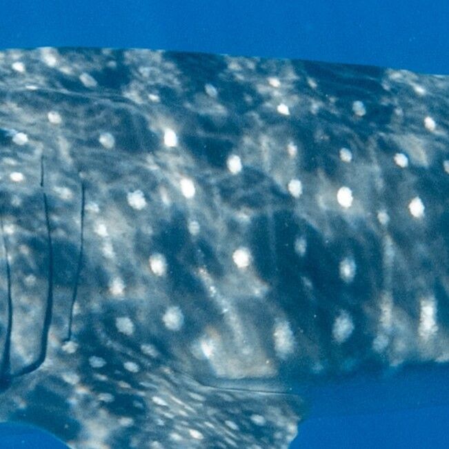 19af9aa0-b077-4aba-a713-a28a76e22a18