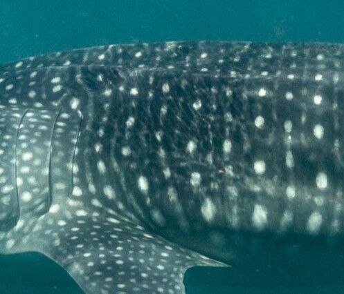 50020b70-60e5-4b21-8f04-3d3fa822ab0d