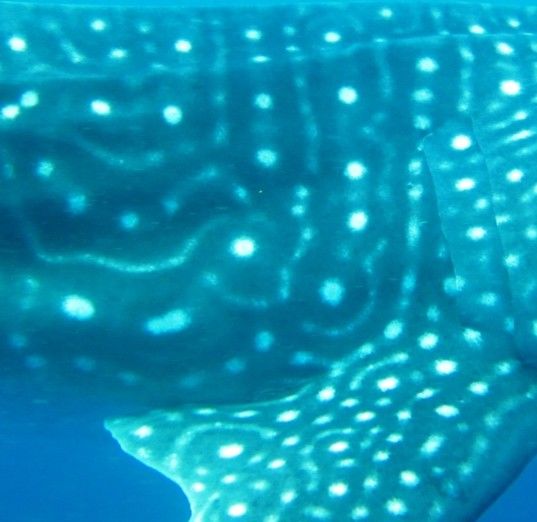 70c8cadb-5bb9-4ede-85ff-fbce1053bdbe