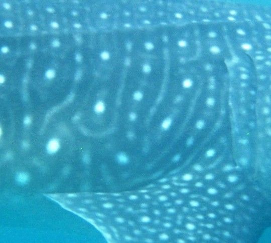 63f2aa2a-81c9-4b43-8d6a-52a1f8a0a4c5