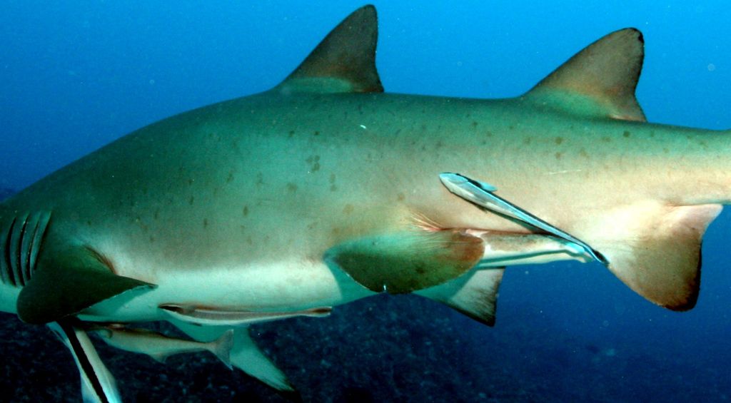 9da8535d-8478-451c-9e29-f6dba9f3fa6b