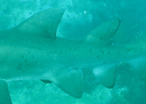 335b6de0-5625-4fb6-a7af-e7291887cfca