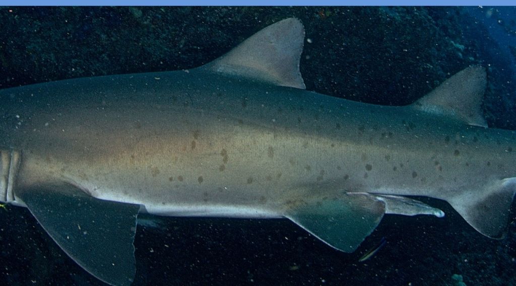 de4d74e2-7d5d-4593-83bd-fe83fcb50368