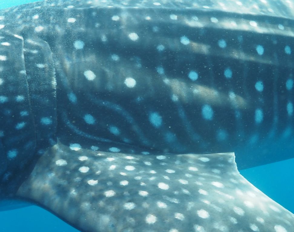 d588ac65-7242-487d-a2ce-0ecac52945a9