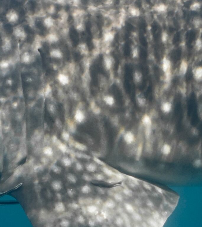 02f1f6a9-c8fa-4aa6-a064-23c18fc1cc40