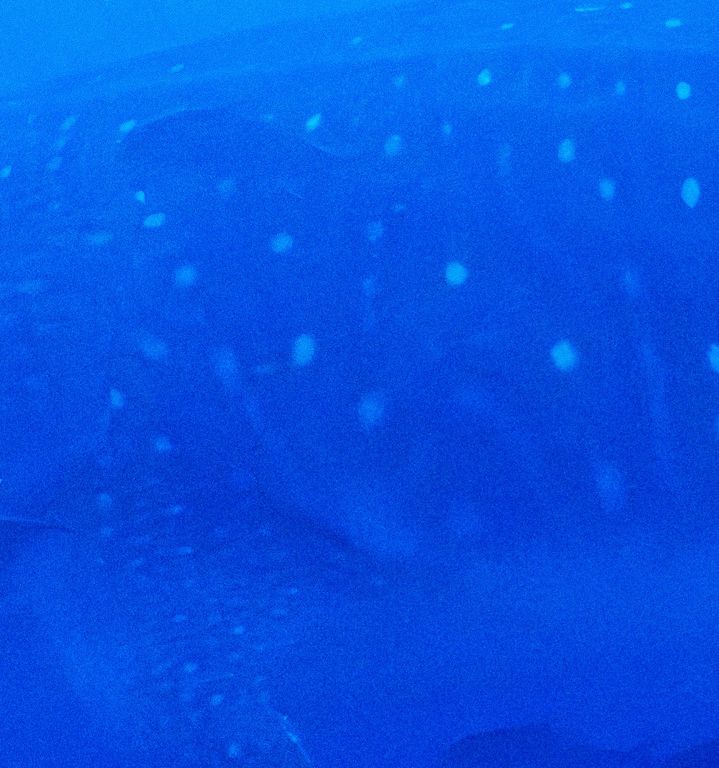 e137f653-00d0-4908-9834-6581f46b97b3