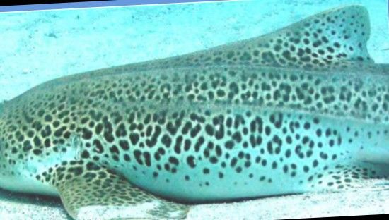 957e8909-c5c8-42dc-8295-c08f74da7104