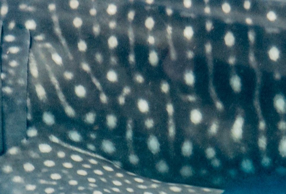 64b0d6bd-18e0-4b9b-a7a3-7b6ae0c8e4c6